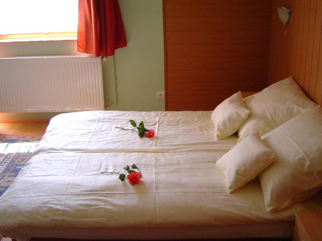 Lunczer Vendeghaz Hotel Mosonmagyarovar Ruang foto